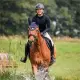 Cavallo CavalNadra Sweatshirt